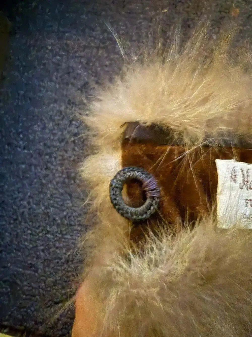 Vintage Harold J. Rubin Real Fur Collar Wrap